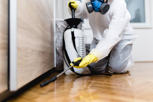 Best Best Pest Control Companies  in Camden, OH