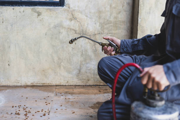 Best Flea Control Services  in Camden, OH
