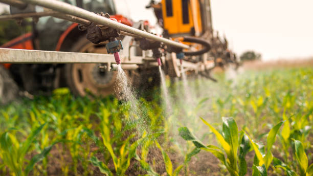 Best Pest Removal Services  in Camden, OH